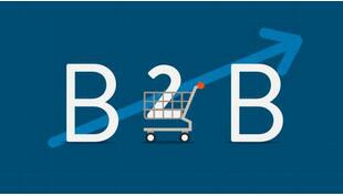 b2b商城系统开发 b2b商城网站建设 b2b网上商城开发